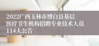 2022广西玉林市博白县基层医疗卫生机构招聘专业技术人员114人公告