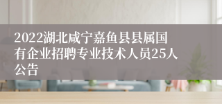 2022湖北咸宁嘉鱼县县属国有企业招聘专业技术人员25人公告