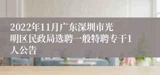 2022年11月广东深圳市光明区民政局选聘一般特聘专干1人公告