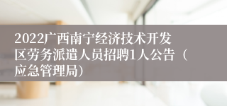 2022广西南宁经济技术开发区劳务派遣人员招聘1人公告（应急管理局）