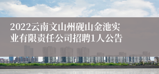 2022云南文山州砚山金池实业有限责任公司招聘1人公告