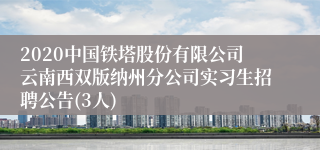 2020中国铁塔股份有限公司云南西双版纳州分公司实习生招聘公告(3人)