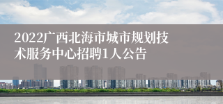 2022广西北海市城市规划技术服务中心招聘1人公告