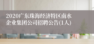 2020广东珠海经济特区南水企业集团公司招聘公告(1人)