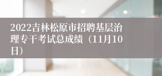 2022吉林松原市招聘基层治理专干考试总成绩（11月10日）