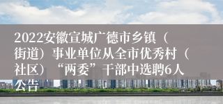 2022安徽宣城广德市乡镇（街道）事业单位从全市优秀村（社区）“两委”干部中选聘6人公告