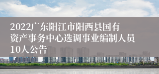 2022广东阳江市阳西县国有资产事务中心选调事业编制人员10人公告
