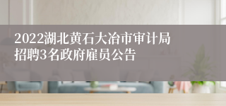 2022湖北黄石大冶市审计局招聘3名政府雇员公告