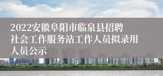 2022安徽阜阳市临泉县招聘社会工作服务站工作人员拟录用人员公示