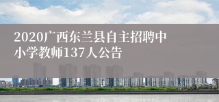 2020广西东兰县自主招聘中小学教师137人公告