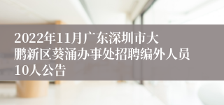 2022年11月广东深圳市大鹏新区葵涌办事处招聘编外人员10人公告