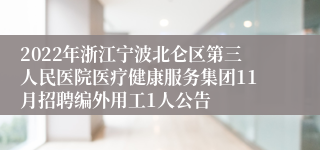 2022年浙江宁波北仑区第三人民医院医疗健康服务集团11月招聘编外用工1人公告