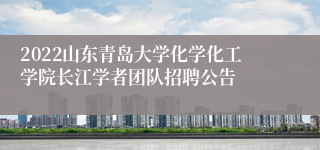 2022山东青岛大学化学化工学院长江学者团队招聘公告