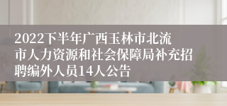 2022下半年广西玉林市北流市人力资源和社会保障局补充招聘编外人员14人公告