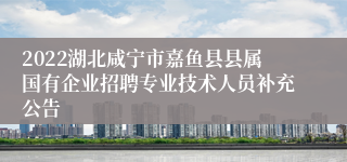 2022湖北咸宁市嘉鱼县县属国有企业招聘专业技术人员补充公告