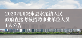 2020四川叙永县水尾镇人民政府直接考核招聘事业单位人员1人公告