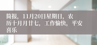 简报，11月20日星期日，农历十月月廿七，工作愉快，平安喜乐