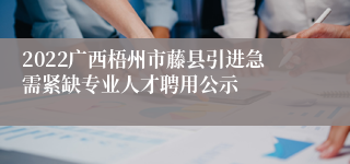 2022广西梧州市藤县引进急需紧缺专业人才聘用公示