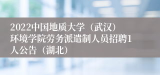 2022中国地质大学（武汉）环境学院劳务派遣制人员招聘1人公告（湖北）