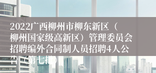 2022广西柳州市柳东新区（柳州国家级高新区）管理委员会招聘编外合同制人员招聘4人公告（第七批）