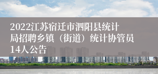 2022江苏宿迁市泗阳县统计局招聘乡镇（街道）统计协管员14人公告