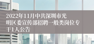 2022年11月中共深圳市光明区委宣传部招聘一般类岗位专干1人公告