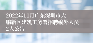 2022年11月广东深圳市大鹏新区建筑工务署招聘编外人员2人公告