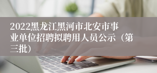 2022黑龙江黑河市北安市事业单位招聘拟聘用人员公示（第三批）