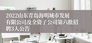 2022山东青岛海明城市发展有限公司及全资子公司第六批招聘3人公告