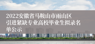 2022安徽省马鞍山市雨山区引进紧缺专业高校毕业生拟录名单公示