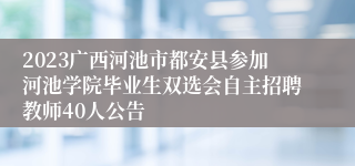 2023广西河池市都安县参加河池学院毕业生双选会自主招聘教师40人公告