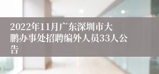 2022年11月广东深圳市大鹏办事处招聘编外人员33人公告