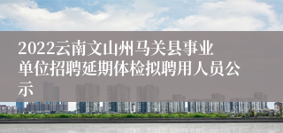 2022云南文山州马关县事业单位招聘延期体检拟聘用人员公示