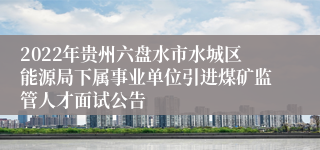 2022年贵州六盘水市水城区能源局下属事业单位引进煤矿监管人才面试公告