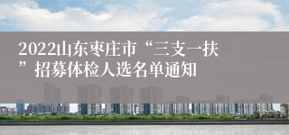 2022山东枣庄市“三支一扶”招募体检人选名单通知