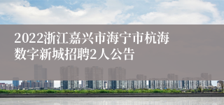 2022浙江嘉兴市海宁市杭海数字新城招聘2人公告