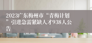 2023广东梅州市“青梅计划”引进急需紧缺人才938人公告