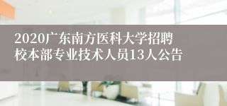 2020广东南方医科大学招聘校本部专业技术人员13人公告