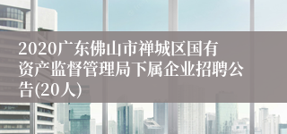 2020广东佛山市禅城区国有资产监督管理局下属企业招聘公告(20人)