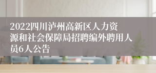 2022四川泸州高新区人力资源和社会保障局招聘编外聘用人员6人公告