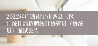 2022年广西南宁市各县（区）统计局招聘统计协管员（协统员）面试公告