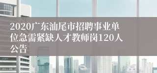 2020广东汕尾市招聘事业单位急需紧缺人才教师岗120人公告