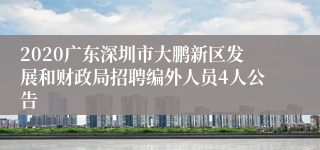 2020广东深圳市大鹏新区发展和财政局招聘编外人员4人公告