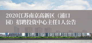 2020江苏南京高新区（浦口园）招聘投资中心主任1人公告