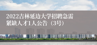 2022吉林延边大学招聘急需紧缺人才1人公告（3号）