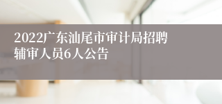 2022广东汕尾市审计局招聘辅审人员6人公告