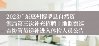 2023广东惠州博罗县自然资源局第三次补充招聘土地监察巡查协管员递补进入体检人员公告