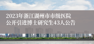 2023年浙江湖州市市级医院公开引进博士研究生43人公告