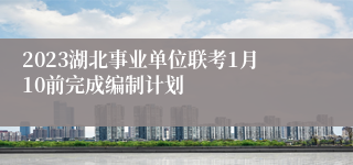 2023湖北事业单位联考1月10前完成编制计划