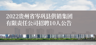 2022贵州省岑巩县供销集团有限责任公司招聘10人公告